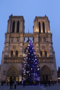 The beautiful Notre Dame de Paris and the Christmas Tree. 